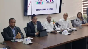 Resolución para facilitar el voto a personas con discapacidad ha sido respaldada