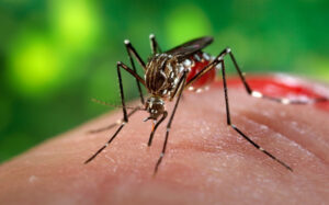 La ciudad de Dourados, pionera en Brasil en vacunar a su población contra el dengue