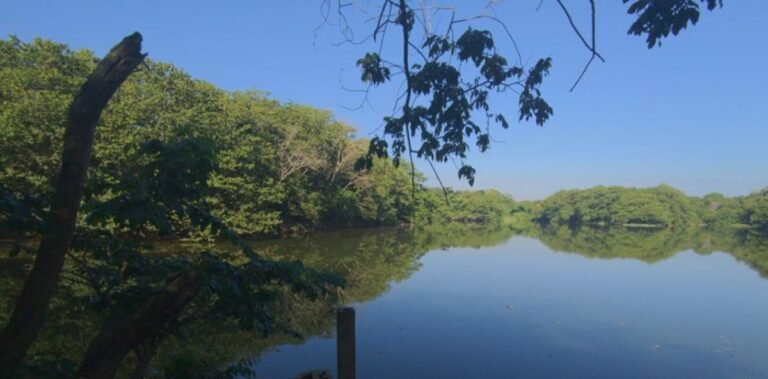 Prospecto de béisbol que murió en laguna de Guanuma compartía junto a otros cinco adolescentes
