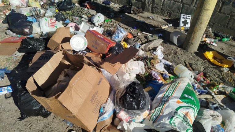 SANTO DOMINGO NORTE: UN DESCUIDO TOTAL Y ABANDONO EN LA RECOGIDA DE BASURA