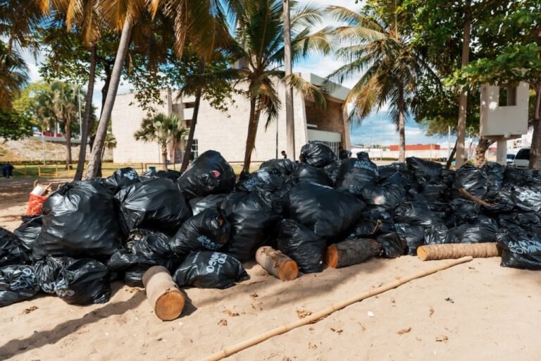 Alcaldía del DN, Medio Ambiente y otras entidades realizan limpieza en playa Montesinos