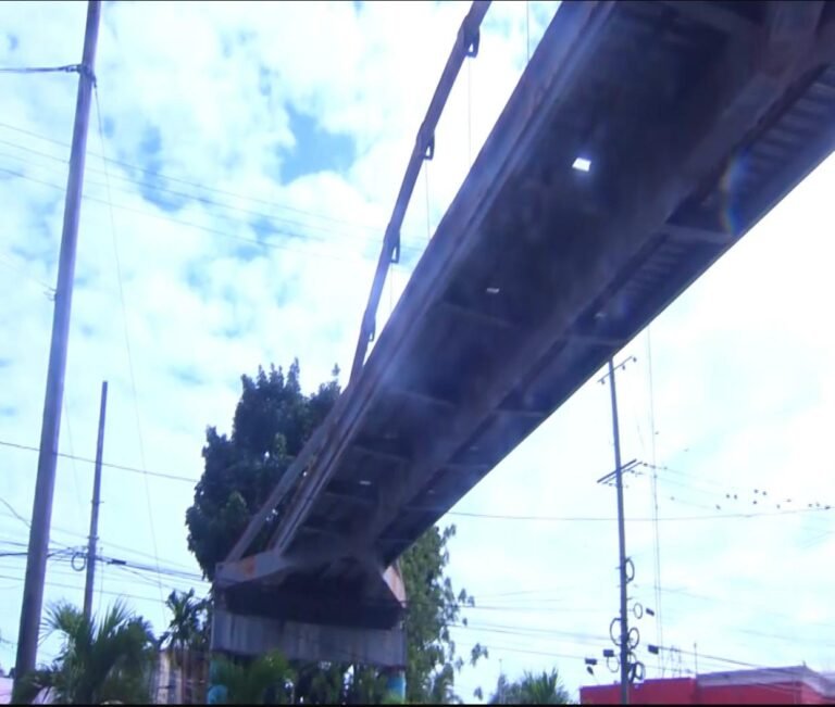 Padres de estudiantes de la escuela María Teresa Mirabal denuncian abandono de puentes peatonales en SDN