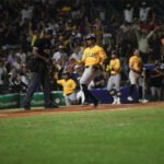 Las Águilas son el único club de la Liga de Béisbol Profesional de la República Dominicana (LIDOM) que elige directiva anualmente y es una compañía por acciones