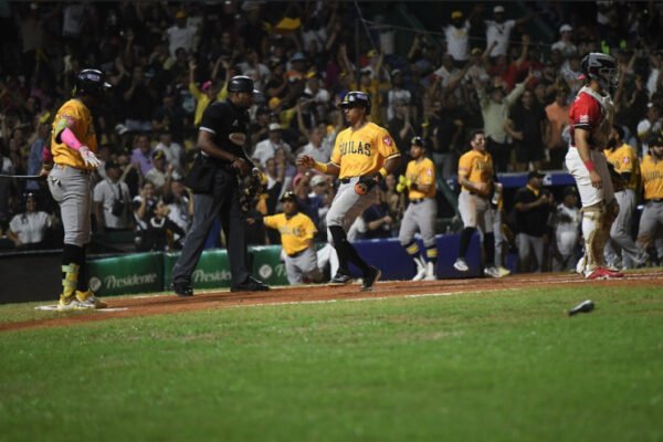 Las Águilas son el único club de la Liga de Béisbol Profesional de la República Dominicana (LIDOM) que elige directiva anualmente y es una compañía por acciones