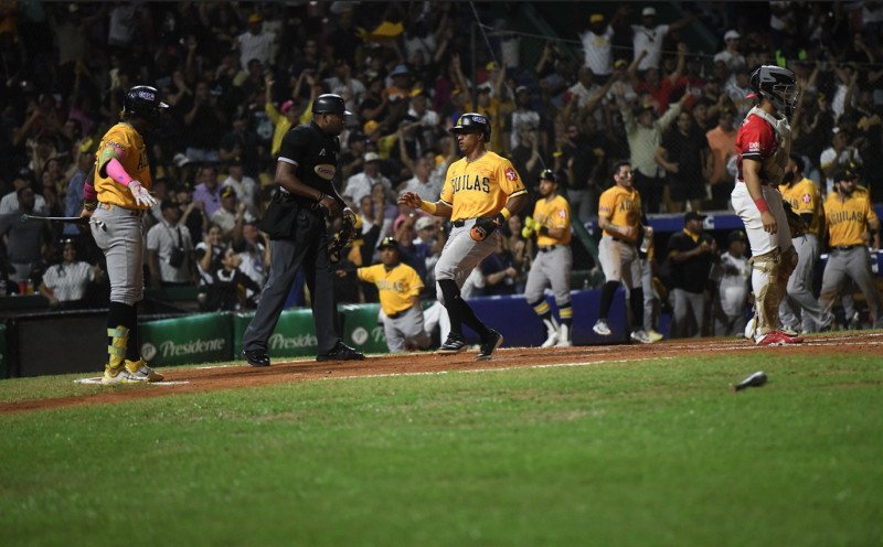 Las Águilas son el único club de la Liga de Béisbol Profesional de la República Dominicana (LIDOM) que elige directiva anualmente y es una compañía por acciones