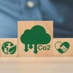 De instrumentos cuestionados a activos clave: el rol de los créditos y compensaciones de carbono en la estrategia financiera y climática de las empresas.