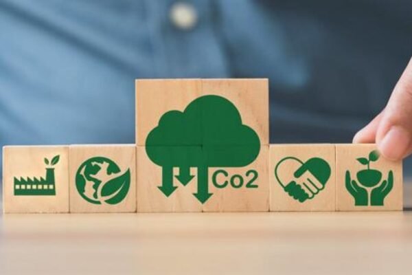 De instrumentos cuestionados a activos clave: el rol de los créditos y compensaciones de carbono en la estrategia financiera y climática de las empresas.