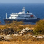 Crucero