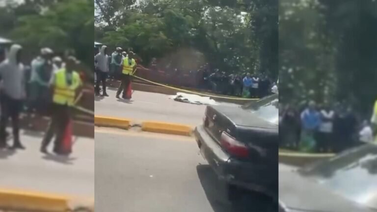Presunto delincuente mata a otro cerca del puente Jacinto Peynado, informa la Policía